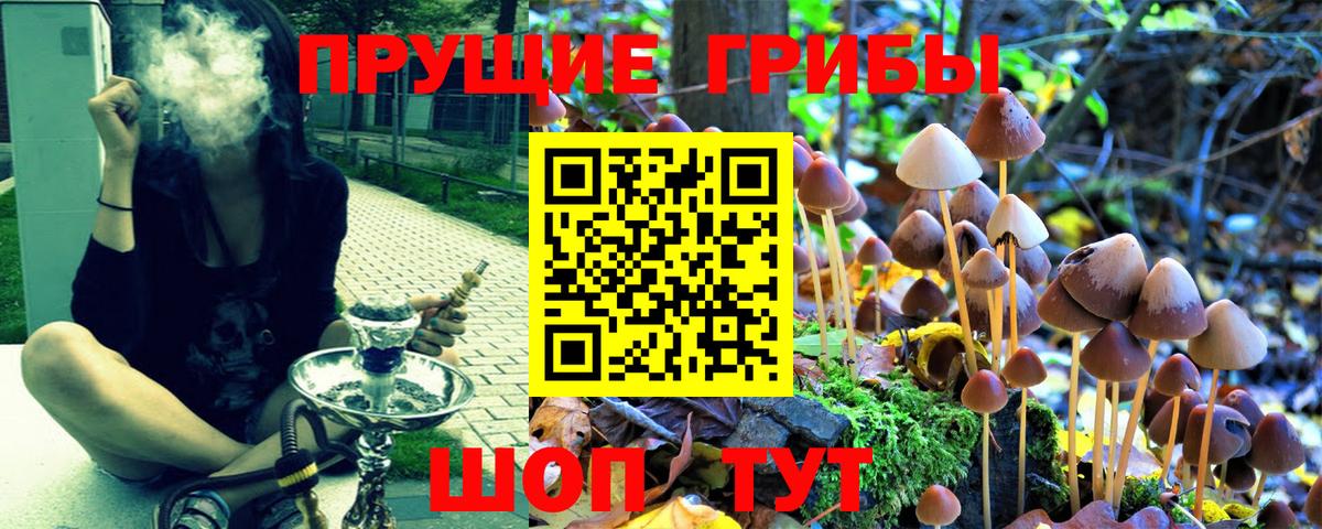 Псилоцибиновые грибы Psilocybe  Псилоцибиновые грибы Psilocybine cubensis  Среднеуральск  Вход с VPN 